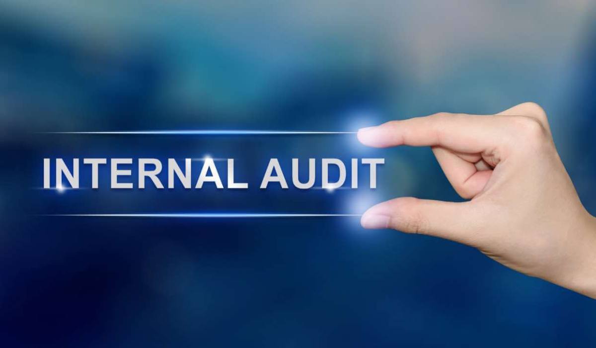 presentation internal audit department